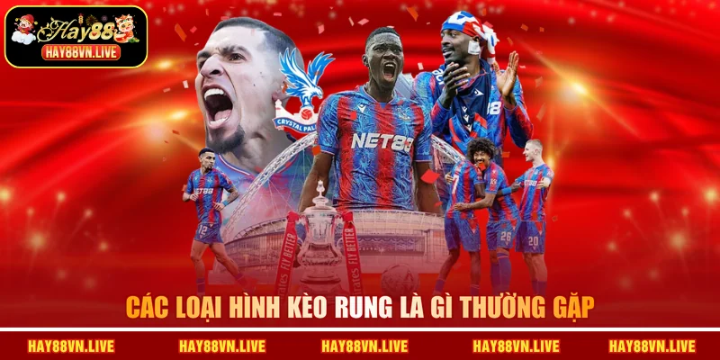 Các loại hình kèo rung là gì thường gặp